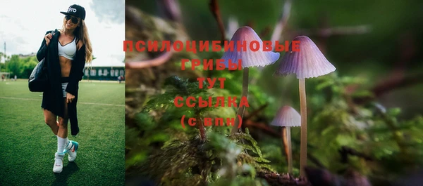 скорость Абаза