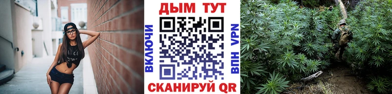 дарк нет формула  Богородицк  Шишки марихуана LSD WEED 